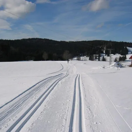 In * Wittenschwand